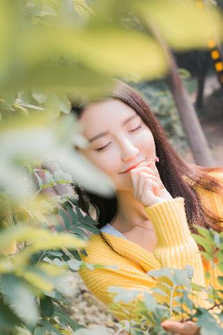 鸳鸯蝴蝶电视剧免费观看