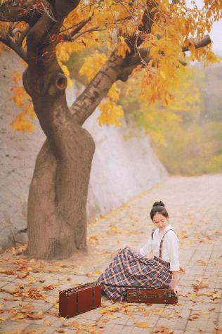 风流女管家