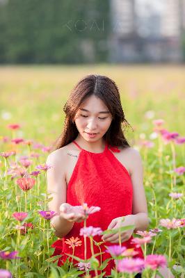 雏鸟幼儿小学生张婉莹