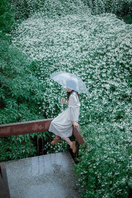 麻花天美星空果冻