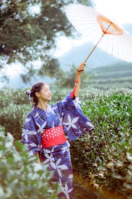 花房姑娘免费观看全集